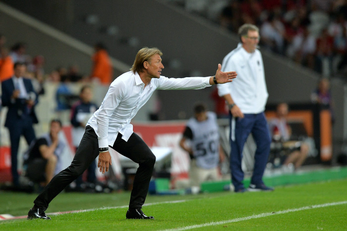 herve renard