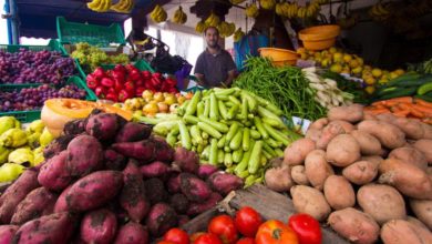 انخفاض أسعار الخضر والفواكه بالمغرب
